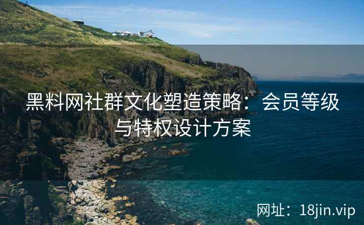 黑料网社群文化塑造策略：会员等级与特权设计方案