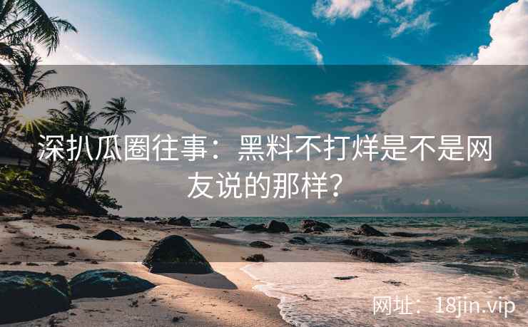 深扒瓜圈往事：黑料不打烊是不是网友说的那样？