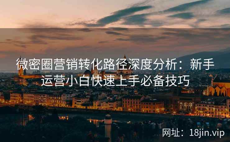 微密圈营销转化路径深度分析：新手运营小白快速上手必备技巧