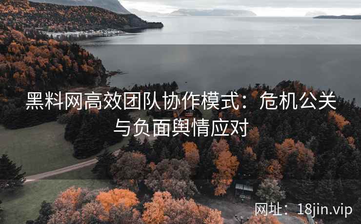 黑料网高效团队协作模式：危机公关与负面舆情应对