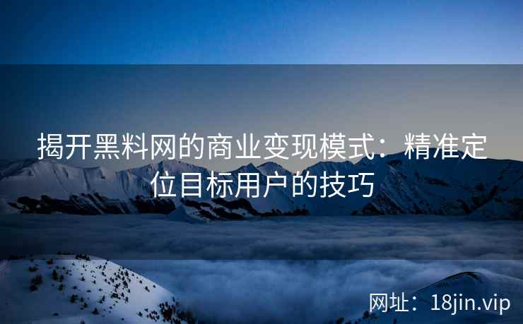 揭开黑料网的商业变现模式：精准定位目标用户的技巧