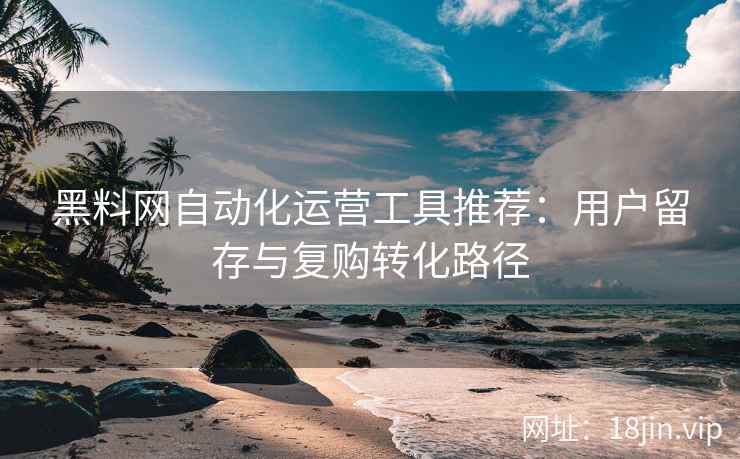 黑料网自动化运营工具推荐：用户留存与复购转化路径