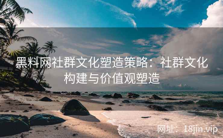 黑料网社群文化塑造策略：社群文化构建与价值观塑造