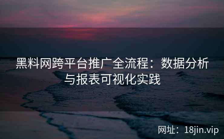 黑料网跨平台推广全流程：数据分析与报表可视化实践