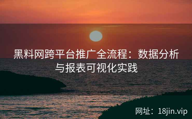 黑料网跨平台推广全流程：数据分析与报表可视化实践