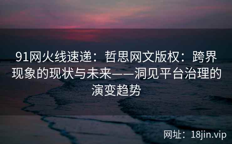 91网火线速递：哲思网文版权：跨界现象的现状与未来——洞见平台治理的演变趋势